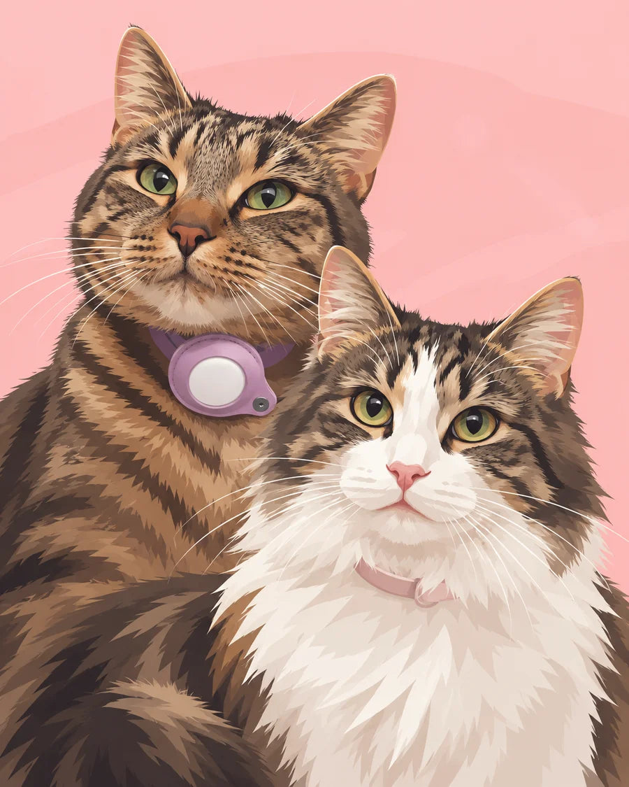 Two cats in a playful pink portrait