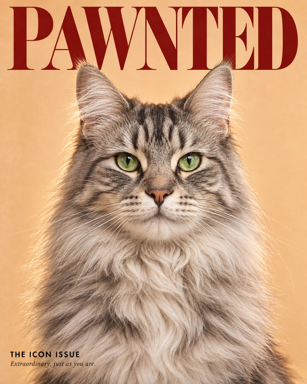 Cover Star portrait style example